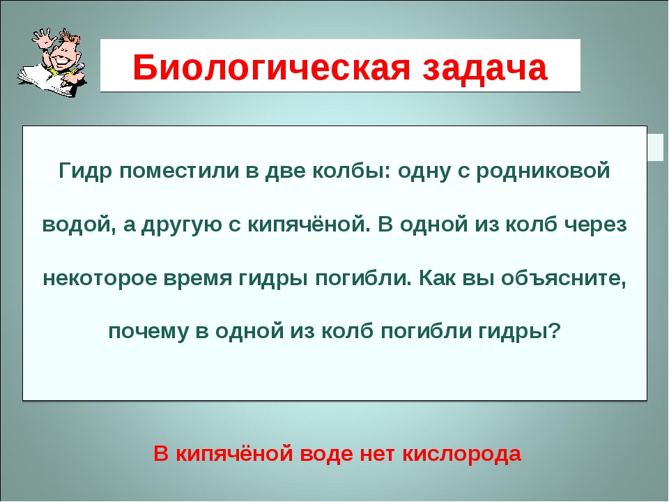 Кракен это современный даркнет маркет