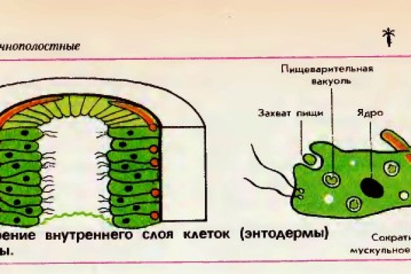 Актуальный адрес кракена