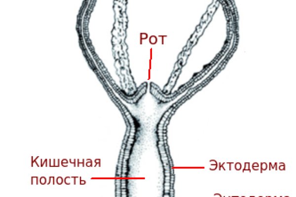 Кракен клирнет ссылка