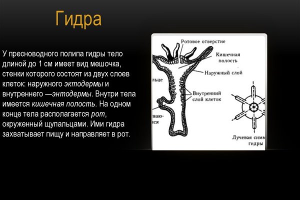 Кракен безопасный вход